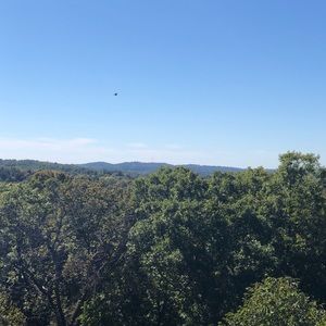 Meet your Posher, Oliver